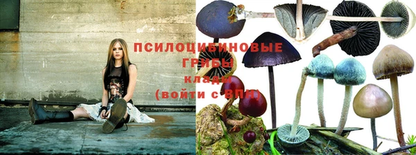 герыч Аркадак